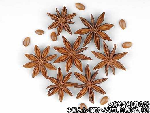 八角茴香图片_八角茴香的功效与作用