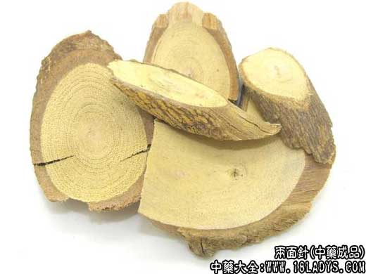 两面针图片两面针的功效与作用