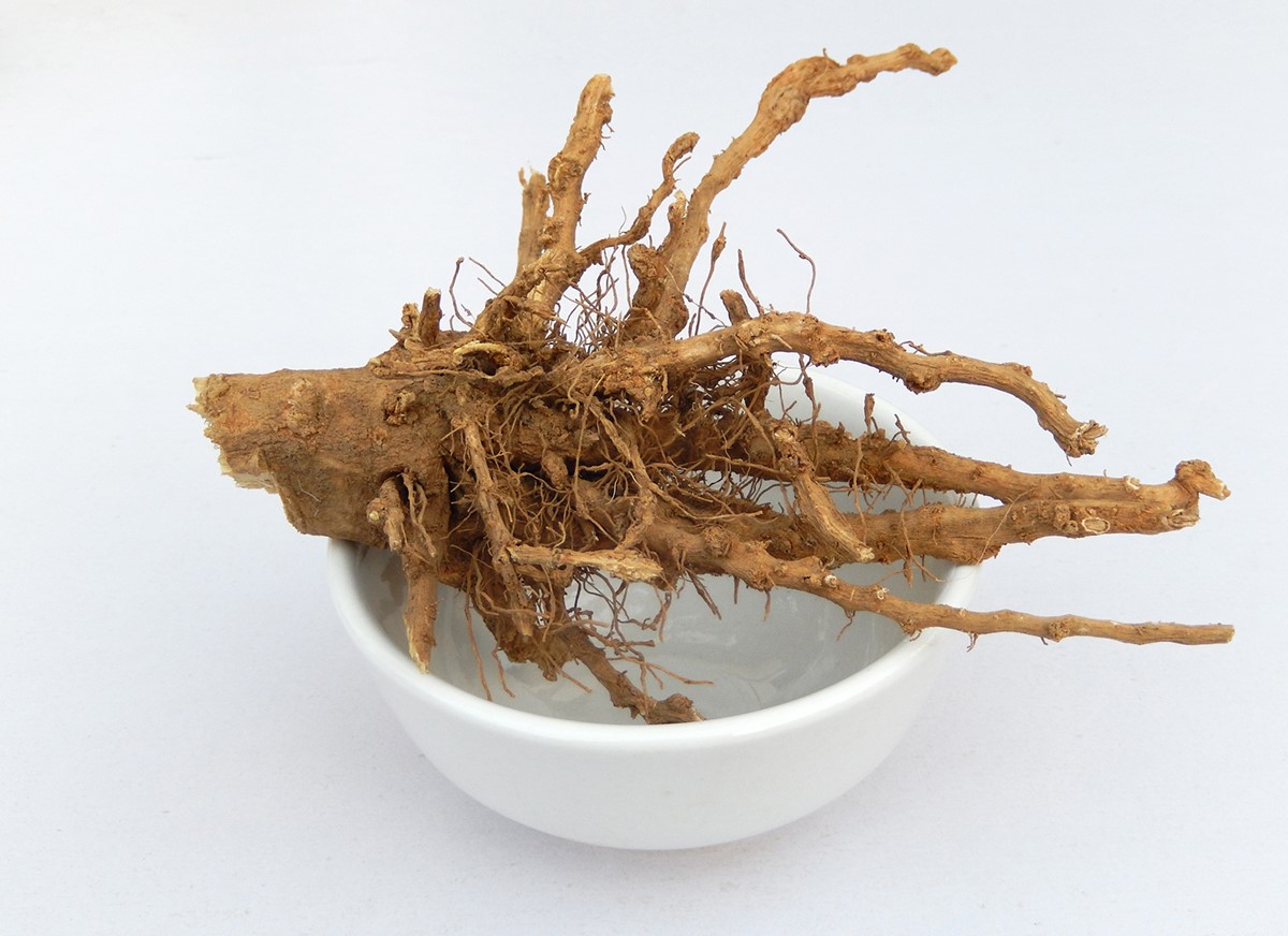 巴山虎