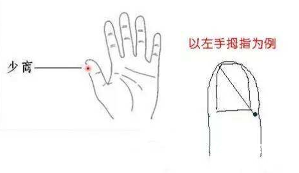 功效:少商穴也是一个止咳的特效穴,位置就在大拇指外侧靠近指甲盖