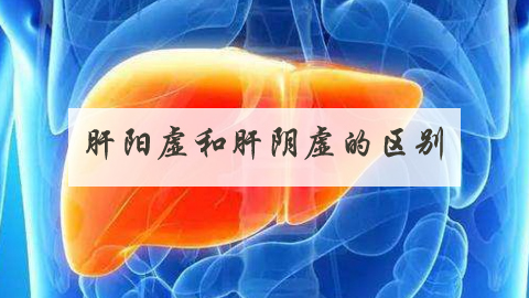 肝阳虚和肝阴虚的区别