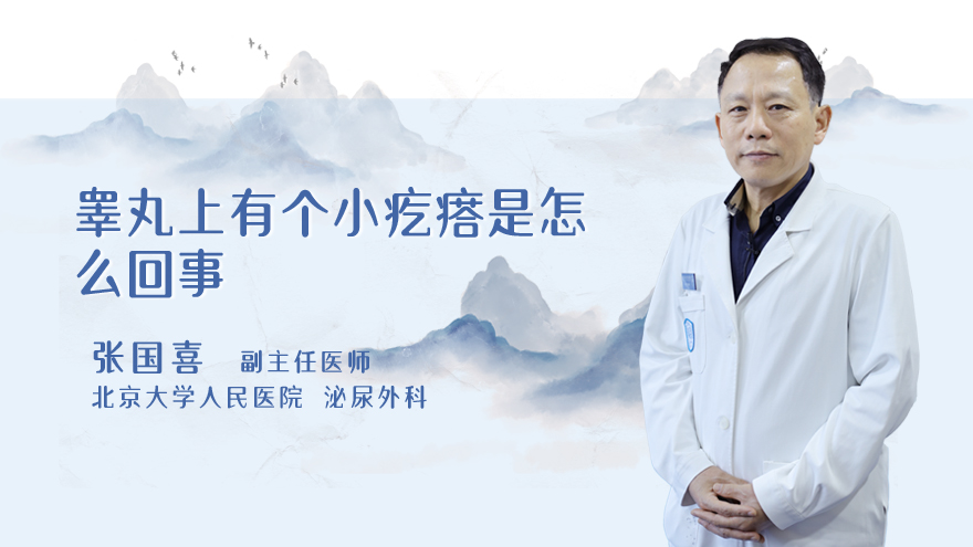 睾丸上有个小疙瘩是怎么回事