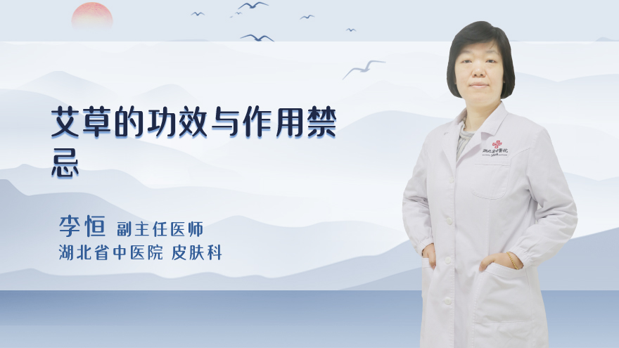 艾草的功效与作用禁忌