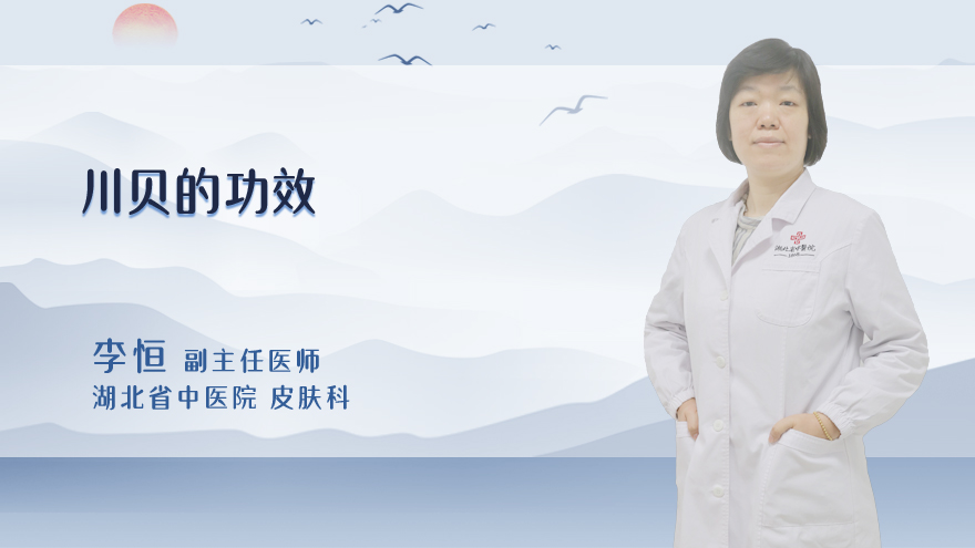川贝的功效