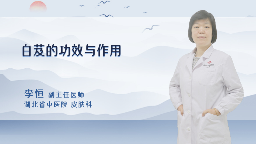 白芨的功效与作用