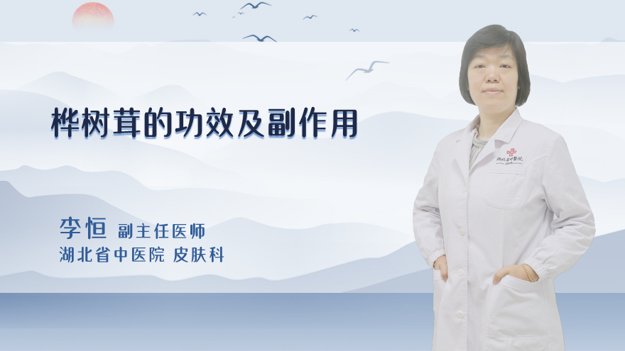 桦树茸的功效及副作用