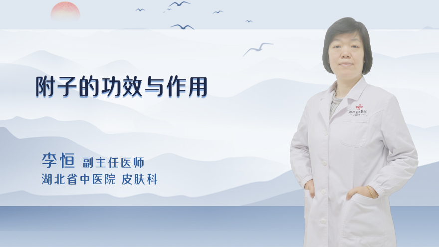 附子的功效与作用