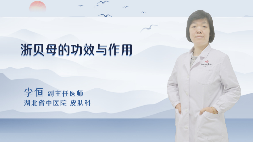 浙贝母的功效与作用