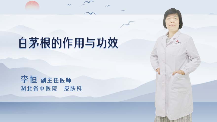 白茅根的作用与功效