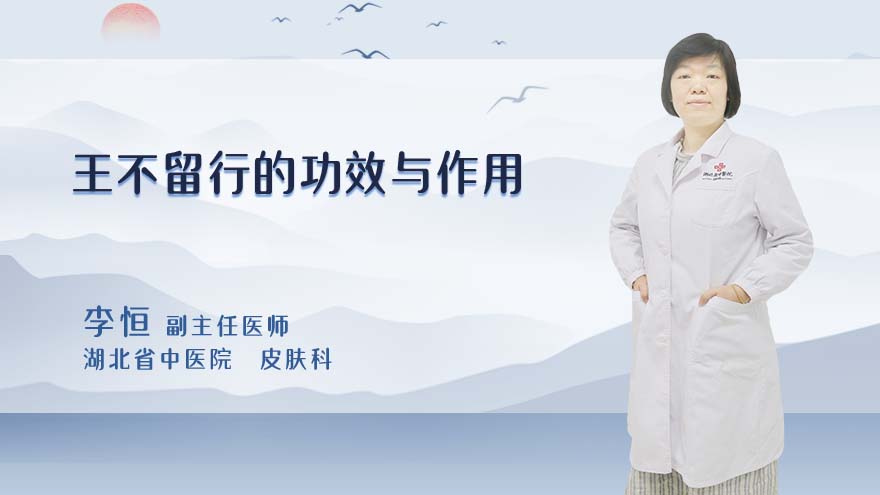 王不留行的功效与作用