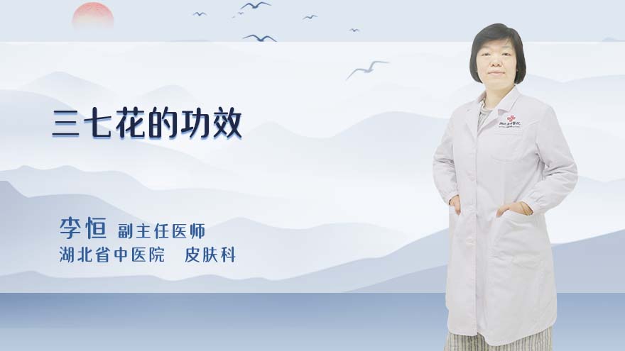 三七花的功效