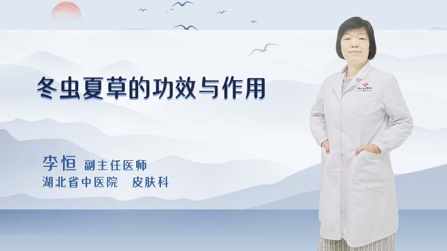 冬虫夏草的功效与作用