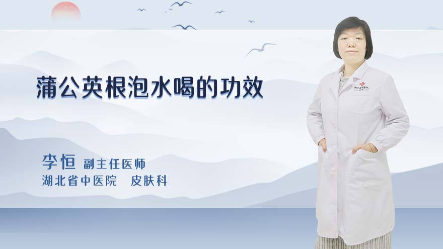 蒲公英根泡水喝的功效