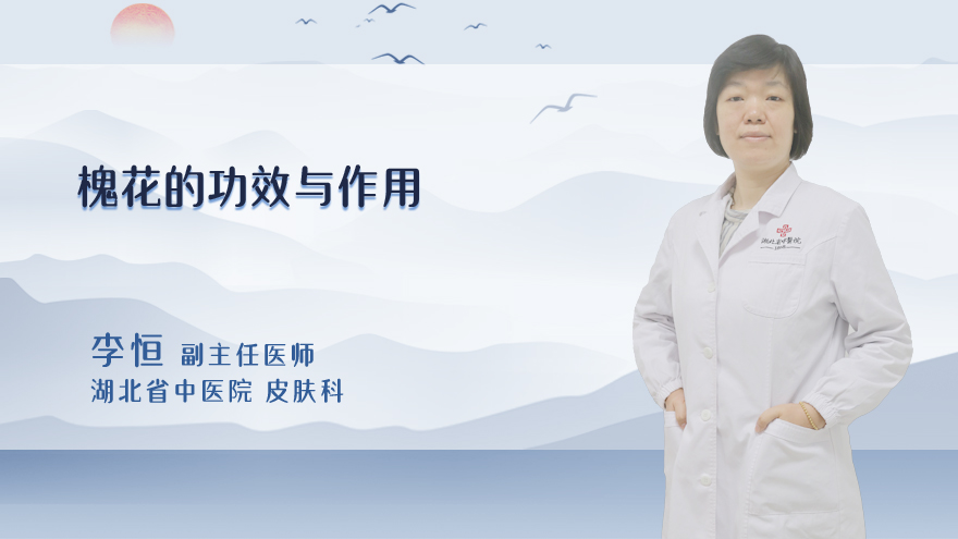 槐花的功效与作用
