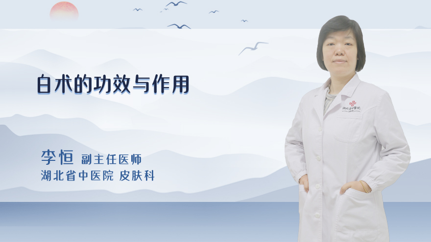 白术的功效与作用