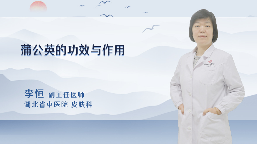 蒲公英的功效与作用