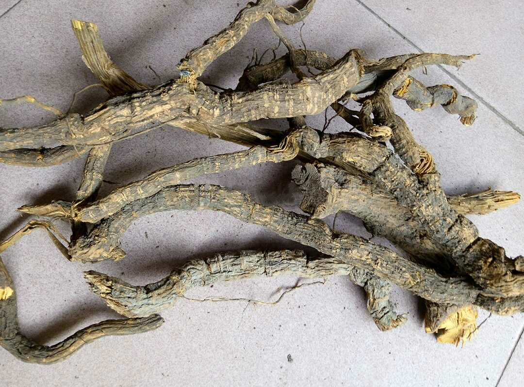 中草药名称大全_常用中药查询_中草药查询_中药材查询 中药大全