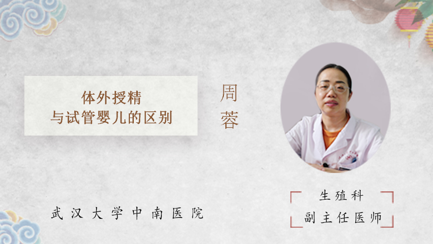 体外授精与试管婴儿的区别