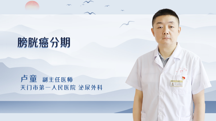 膀胱癌分期