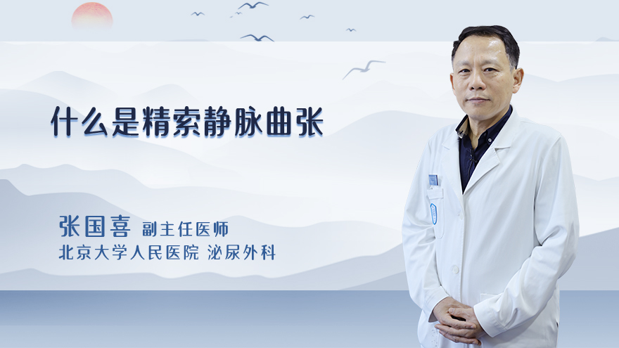 什么是精索静脉曲张