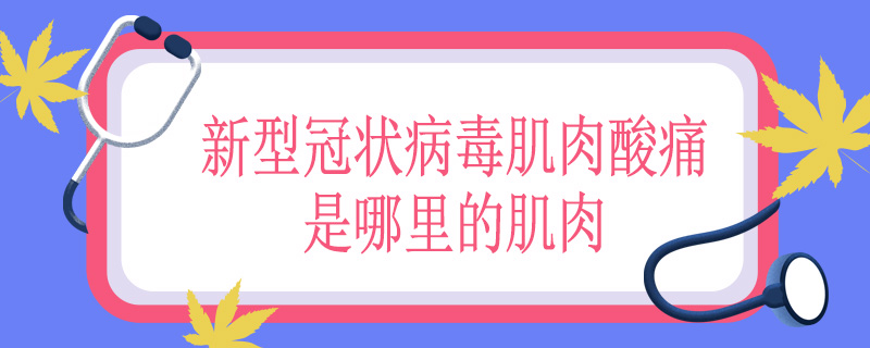 新型冠状病毒肌肉酸痛是哪里的肌肉