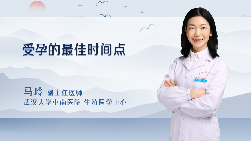 受孕的最佳时间点