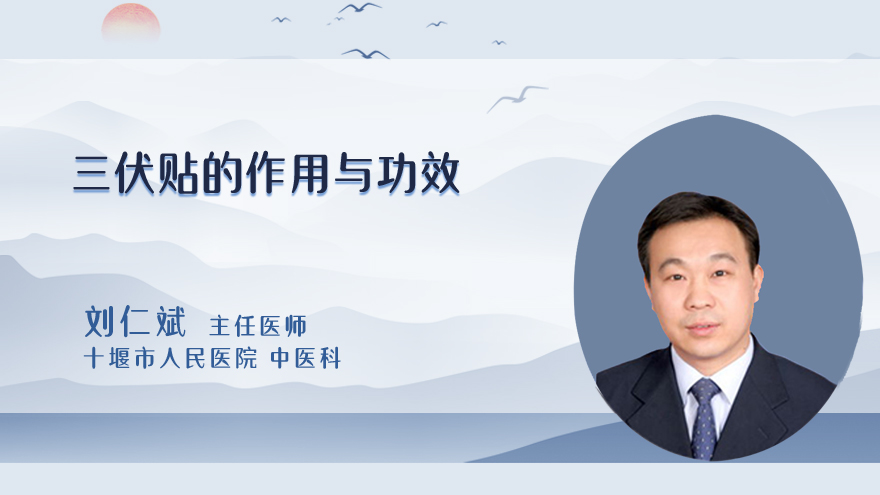 三伏贴的作用与功效