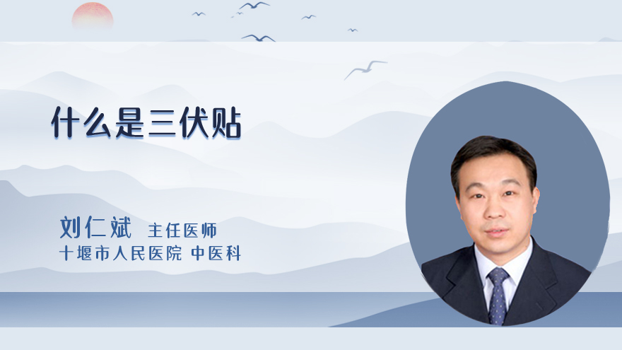 什么是三伏贴