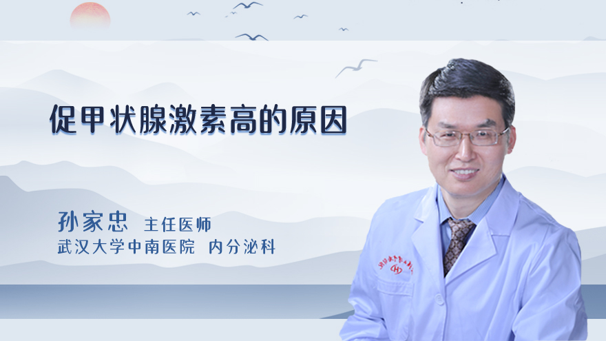 促甲状腺激素高的原因