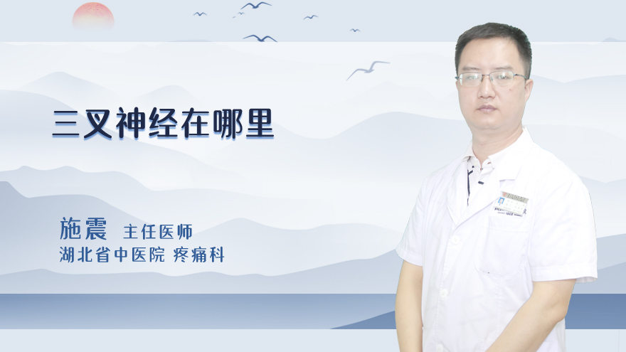 三叉神经在哪里