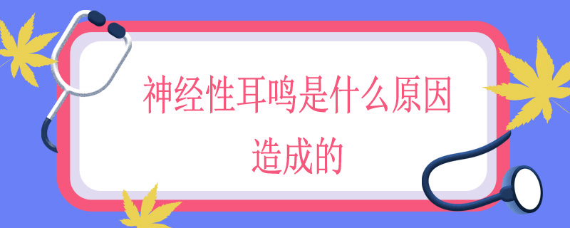 神经性耳鸣是什么原因造成的