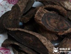 黑皮跌打