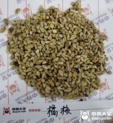 橘核