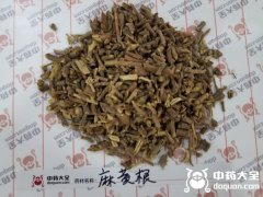 麻黄根