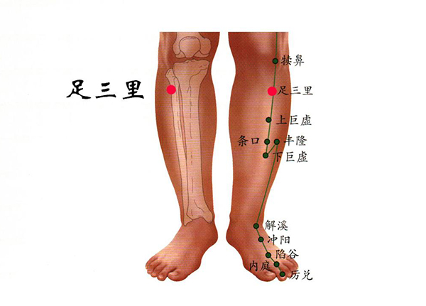 冬季养生穴位