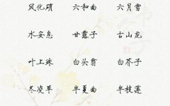 100种寓意最好的中草药名