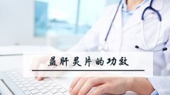 益肝灵片的功效