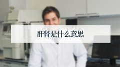 肝肾是什么意思