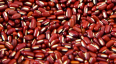 祛湿最快的药是什么，赤小豆茯苓薏米艾蒿