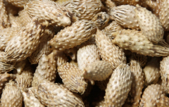 治疗鼻炎小秘方，5种偏方治疗鼻炎
