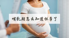 哺乳期怎么知道怀孕了