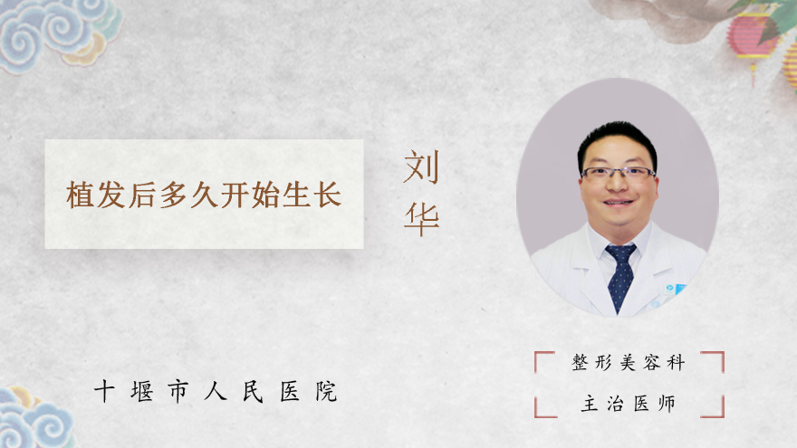 植发后多久开始生长
