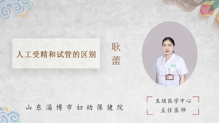 人工受精和试管的区别
