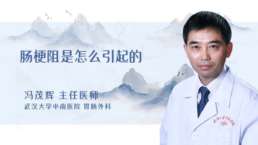 肠梗阻是怎么引起的