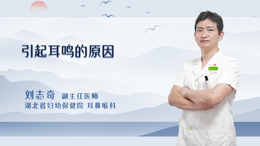 引起耳鸣的原因