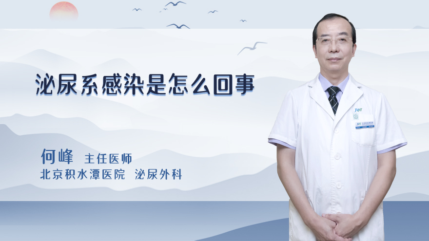 泌尿系感染是怎么回事