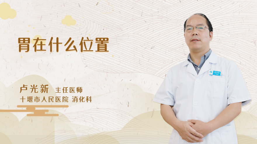 胃在什么位置