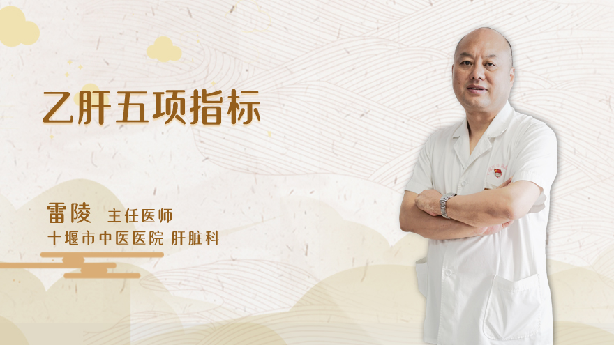 乙肝五项指标