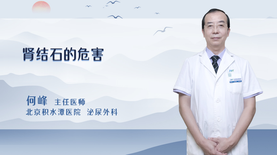 肾结石的危害
