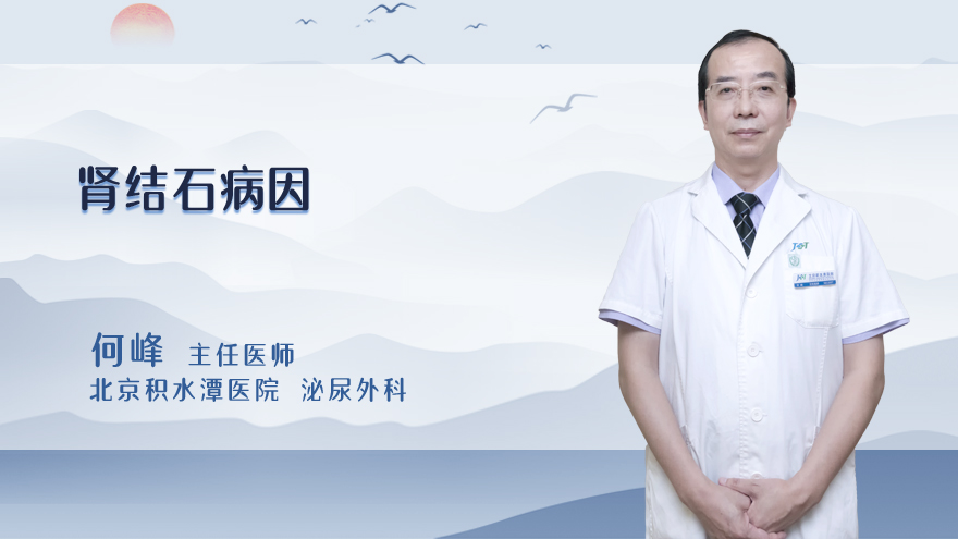 肾结石病因
